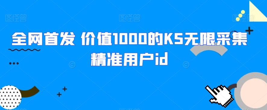 全网首发 价值1000的KS无限采集精准用户id网赚项目-副业赚钱-互联网创业-资源整合久久网创网