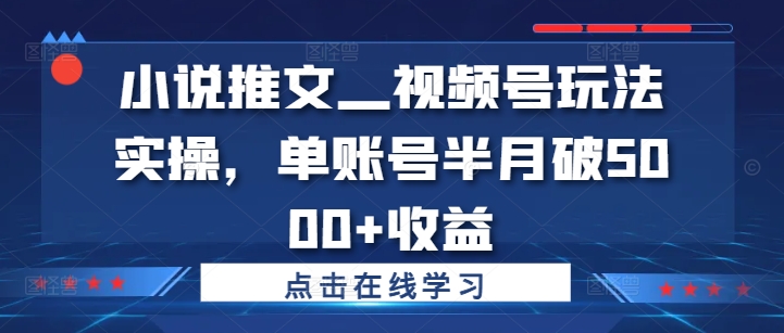 小说推文—视频号玩法实操，单账号半月破5000+收益网赚项目-副业赚钱-互联网创业-资源整合久久网创网