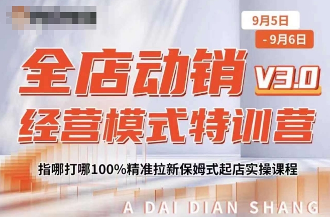 全店动销经营模式特训营，指哪打哪100%精准拉新保姆式起店实操课程网赚项目-副业赚钱-互联网创业-资源整合久久网创网