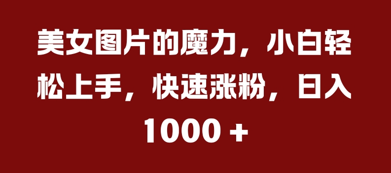 美女图片的魔力，小白轻松上手，快速涨粉，日入几张【揭秘】网赚项目-副业赚钱-互联网创业-资源整合久久网创网